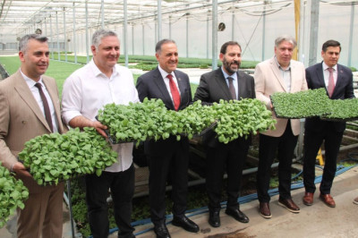 Çiftçiye 800 bin adet atalık tohum