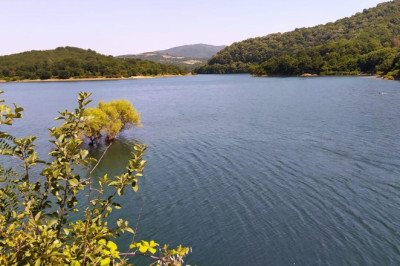Yalova'nın 