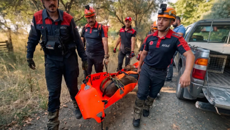 Su kuyusuna düşen köpeğin imdadına arama kurtarma ekipleri yetişti