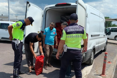 Yalova’da 3 ton kaçak midyeye el konuldu