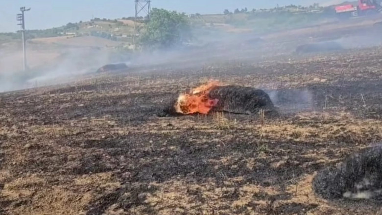 Süpürgelik mevkiinde korkutan arazi yangını