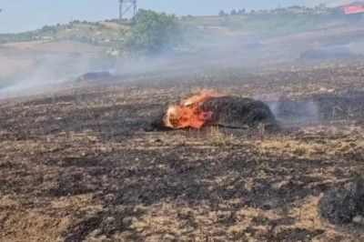 Süpürgelik mevkiinde korkutan arazi yangını