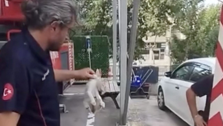 Yalova İtfaiyesi Minik Kedinin İmdadına Yetişti