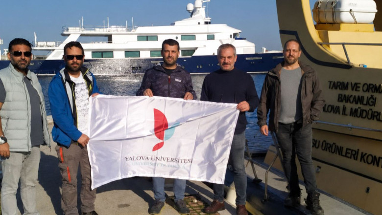 Yalova’daki Yapay Resifler İlk Kez Bilimsel Olarak İncelendi