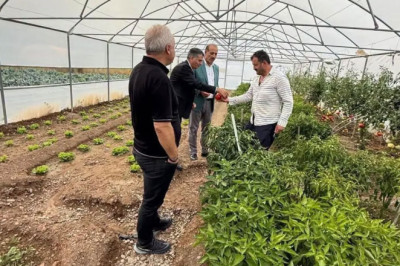 Bayburt'ta Dolu Yağışı Zararları Yerinde İncelendi