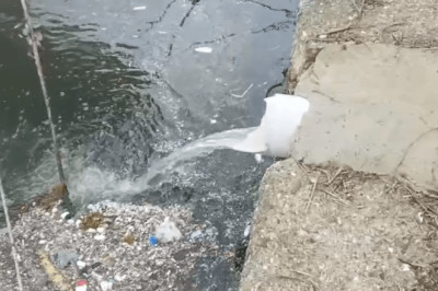 YALOVA’DA DENİZ KİRLİLİĞİ ALARMI