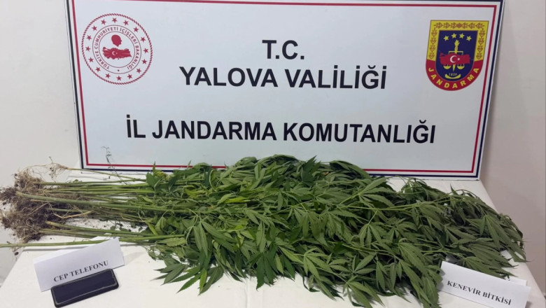3 ŞÜPHELİ GÖZALTINA ALINDI