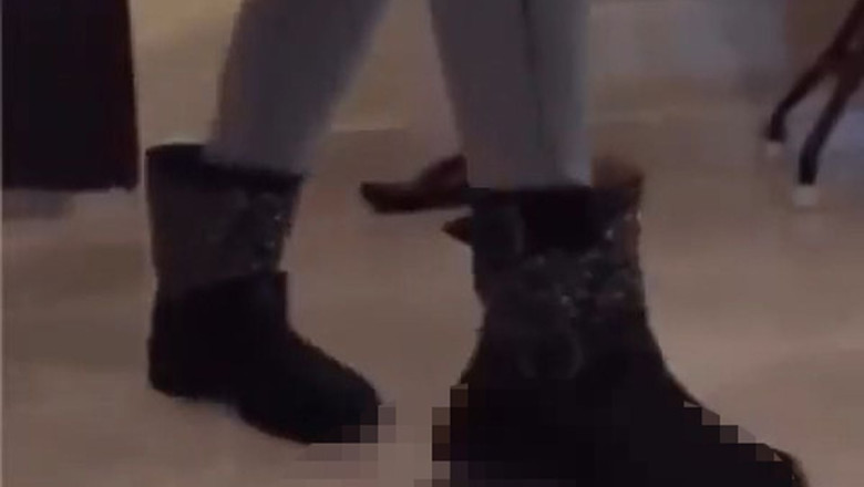 Ereğli'de kaplumbağayı ezen kadın gözaltına alındı, serbest bırakıldı
