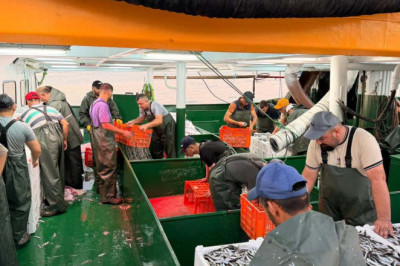 YALOVA’DA HAMSİ KOTASI DENETİMLERİ 7/24 SÜRÜYOR