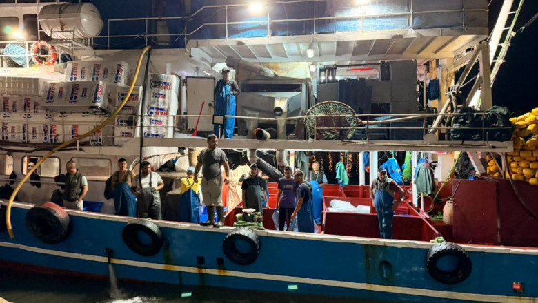 YALOVA’DA HAMSİ KOTASI DENETİMLERİ SÜRÜYOR