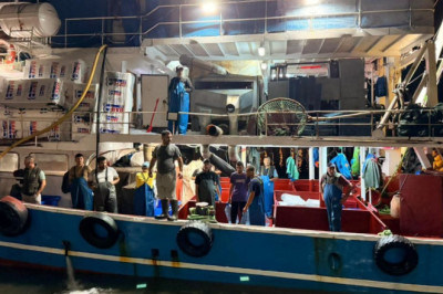 YALOVA’DA HAMSİ KOTASI DENETİMLERİ SÜRÜYOR