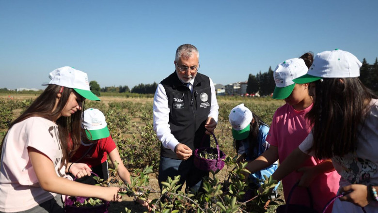 Bakan Işıkhan Yalova’da Aronya Hasadına Katıldı