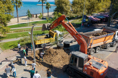 Yalova’da Atatürk’ün Çınar Mirası Korunarak Geleceğe Taşınıyor