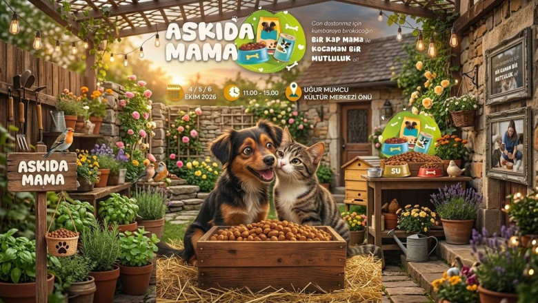 Patili Dostlar İçin “Askıda Mama” Dayanışması