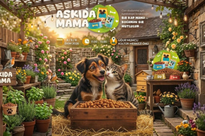 Patili Dostlar İçin “Askıda Mama” Dayanışması