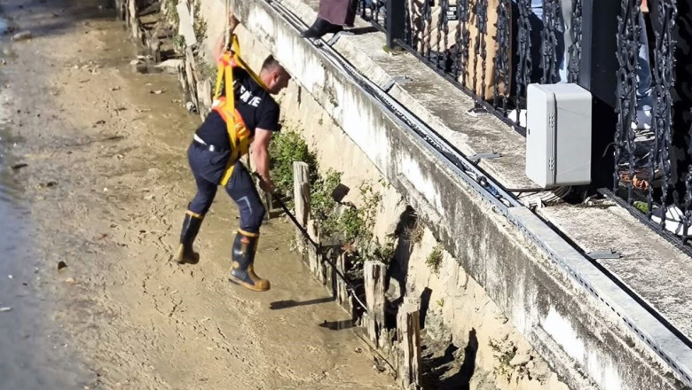 Yalova'da İtfaiye Ekipleri Derede Mahsur Kalan İki Kediyi Kurtardı