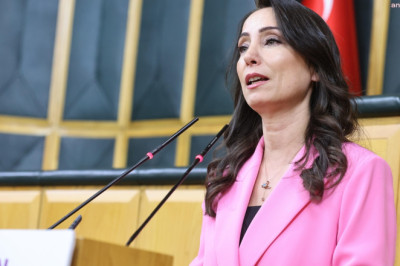 DEM Partili Hatimoğulları, Öcalan'ın özgürce çalışıp iletişim kurmasını istedi